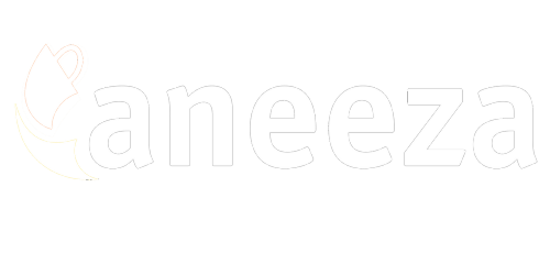 Aneeza Saleem LLC